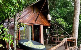 Terramor Ecoliving